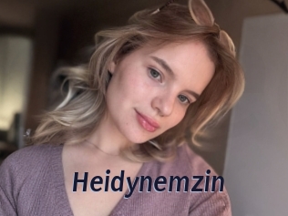 heidynemzin Site Cul