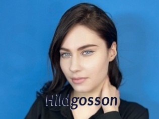 Hildgosson
