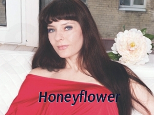 Honeyflower