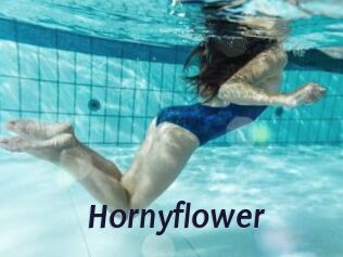 Hornyflower