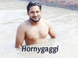 Hornygaggi