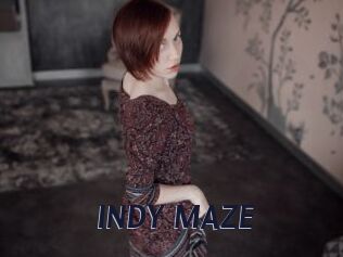 INDY_MAZE
