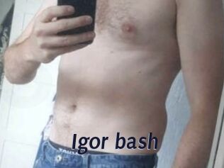 Igor_bash