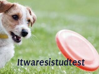 Itwaresistudtest