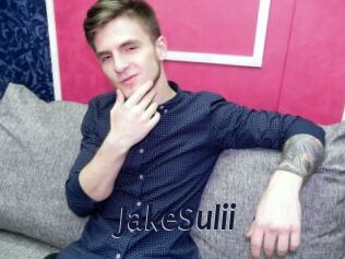 JakeSulii