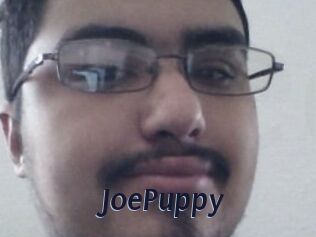 JoePuppy