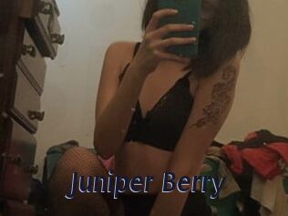 Juniper_Berry