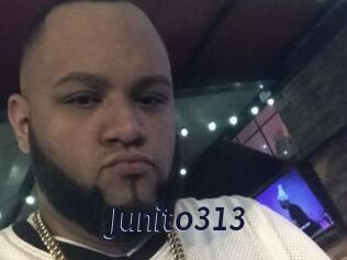 Junito313