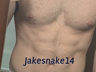 Jakesnake14