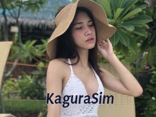 KaguraSim