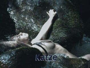 Katze