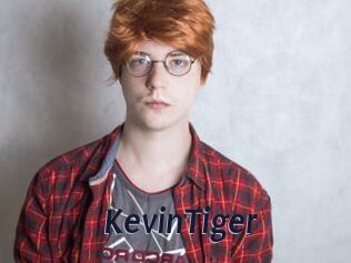 KevinTiger