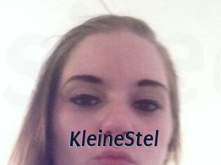 KleineStel