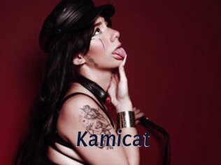 Kamicat