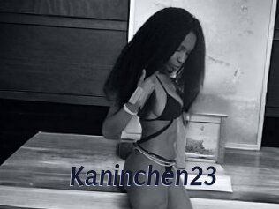 Kaninchen23