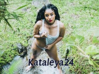 Kataleya24