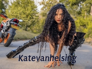 katevanhelsing Site Cul