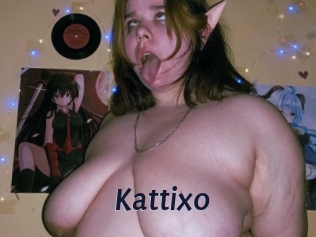 kattixo Site Cul