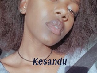 Kesandu
