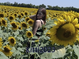 Kitti2023