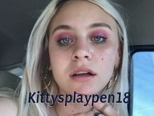 Kittysplaypen18