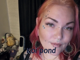 Koi_pond