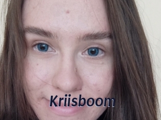 Kriisboom
