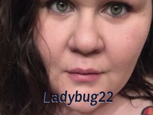 Ladybug22
