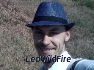 LeoWildFire