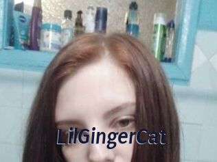LilGingerCat