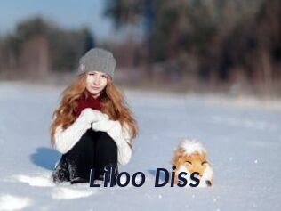 Liloo_Diss