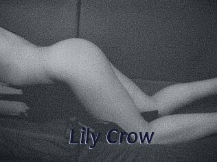 Lily_Crow