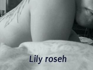 Lily_roseh