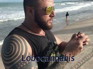 Lobocannabis