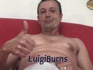 LuigiBurns