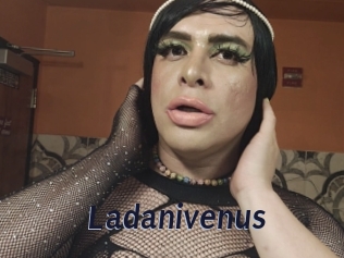 Ladanivenus