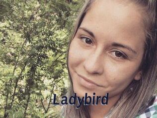 Ladybird