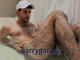 larrygarzon Site Cul