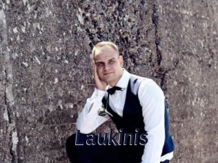 Laukinis