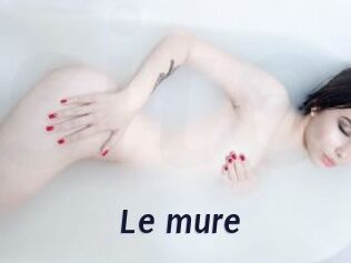 Le_mure