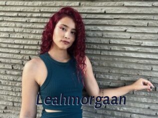 Leahmorgaan