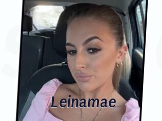 Leinamae