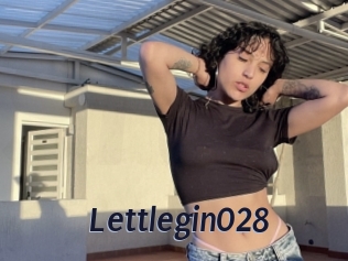 Lettlegin028