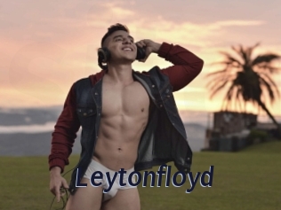 leytonfloyd Site Cul