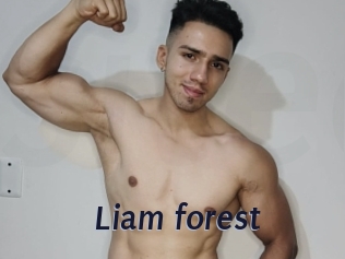 liam_forest Site Cul
