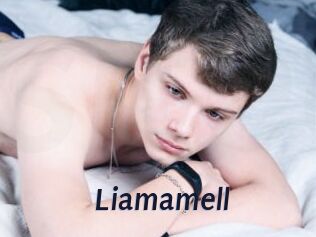 Liamamell