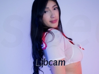 Libcam