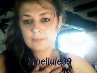 Libellule39