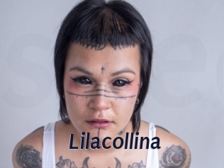 Lilacollina