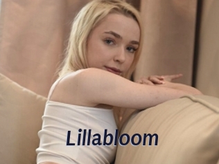 Lillabloom